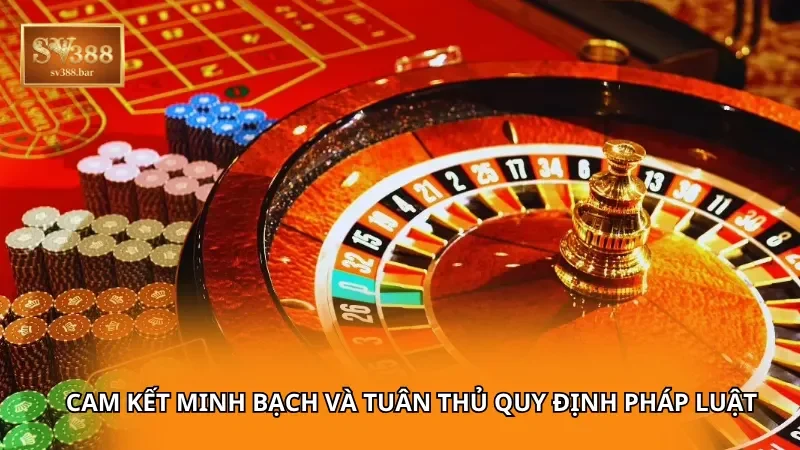 Cam kết minh bạch và tuân thủ quy định pháp luật